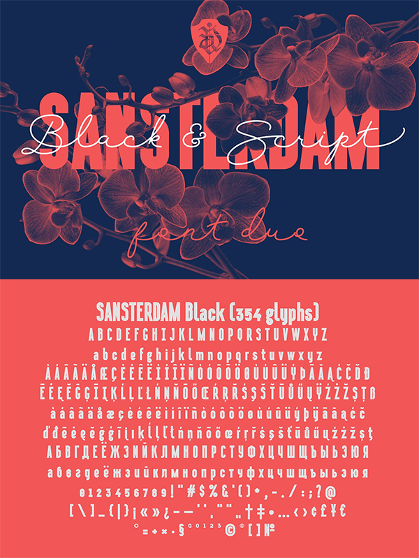 Sansterdam Black & Script