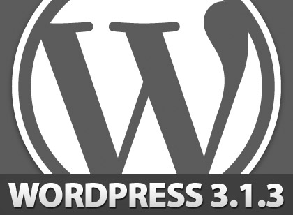 Wordpress 3.1.3