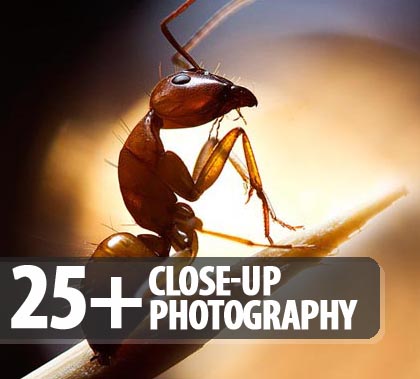 25-closeup-photography