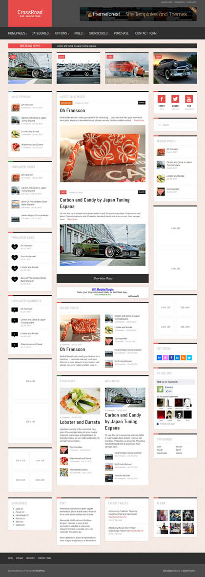 News Magazine Responsive WordPress Themes - 8