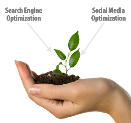 SEO or SMO Small Business
