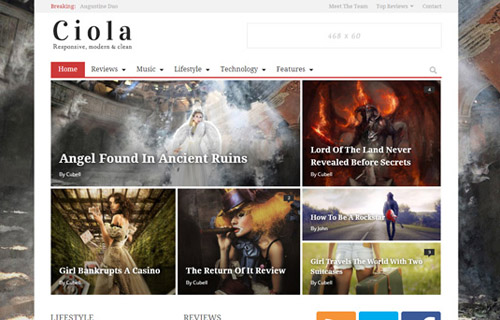 ciola wordpress theme - Premium WordPress Themes 2013