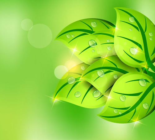 Green Leaf Spring Vector Background Vector Graphics