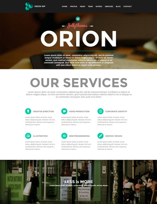 orion theme - Premium WordPress Themes 2013