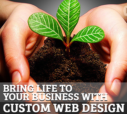 Custome Web Design
