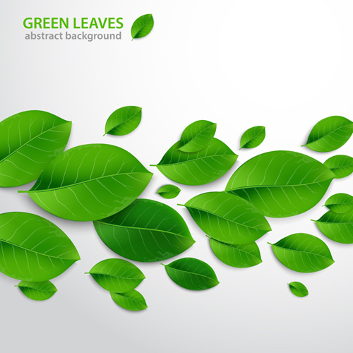 How to Create Realistic Vector Leaves in Adobe Illustrator