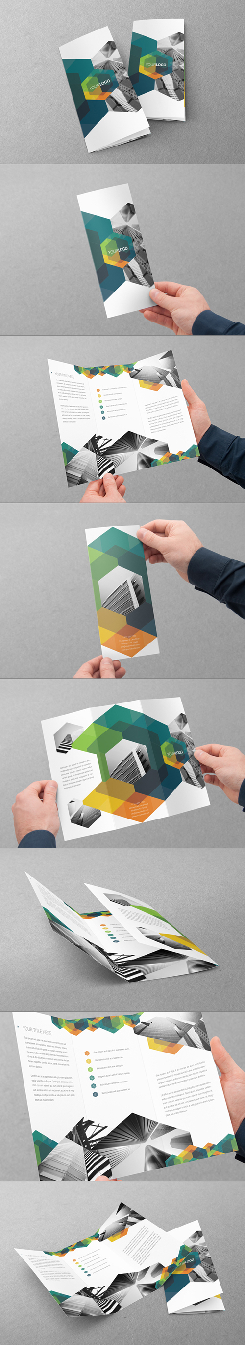 Hexo Trifold Brochure Design