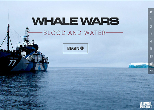 Whale Wars: Blood and Water
