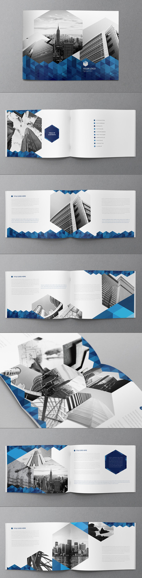 Blue Hexo Brochure