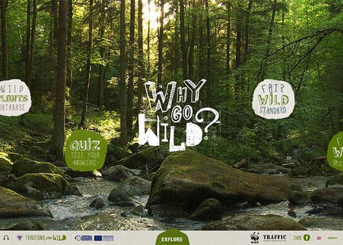 WWF - Why Go Wild