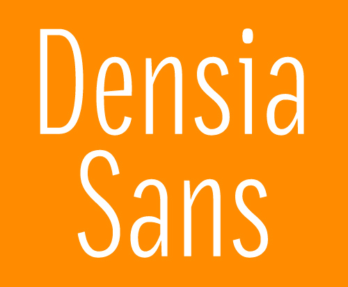 Densia Sans Font