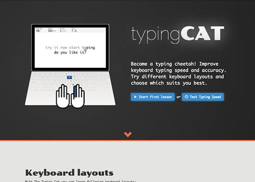 The Typing Cat