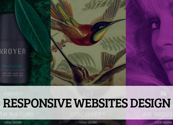 26 Responsive Websites Design Fesh Example for Inspiration 