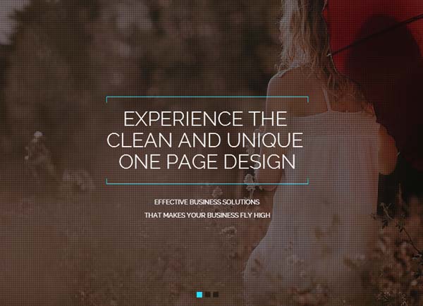 35+ One Page Responsive Website Designs for Inspiration