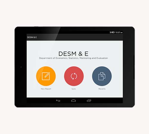 Government Project 'DESM & E' (Android), UI/UX