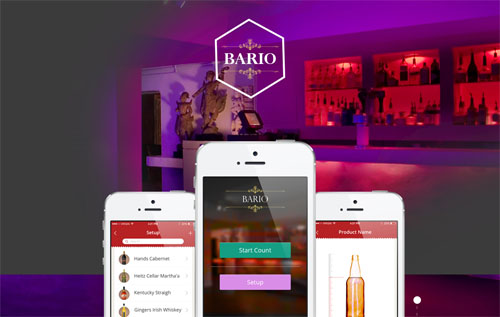 Bario Mobile App