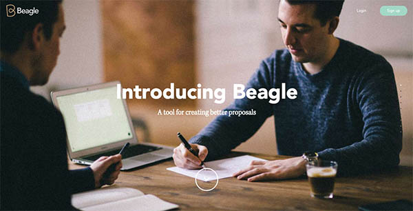 Beagle - Better proposals By Spring/Summer