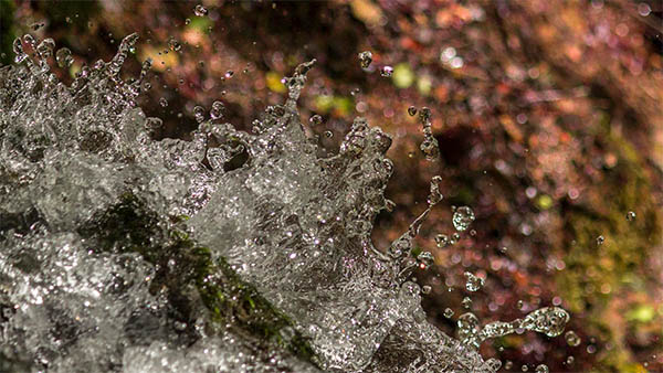 Beautiful Water Drops Photography - 1