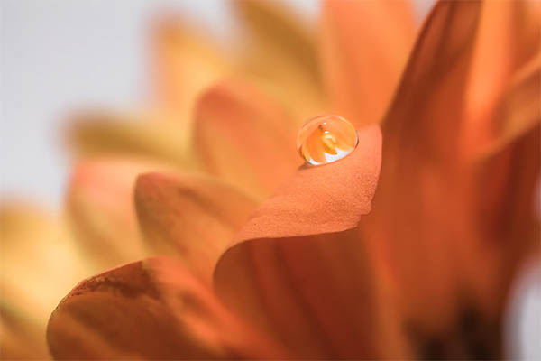 Beautiful Water Drops Photography - 12
