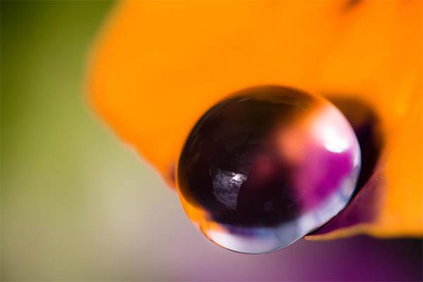 Beautiful Water Drops Photography - 13