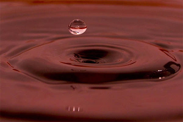 Beautiful Water Drops Photography - 14