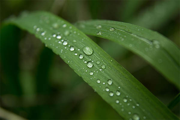 Beautiful Water Drops Photography - 17