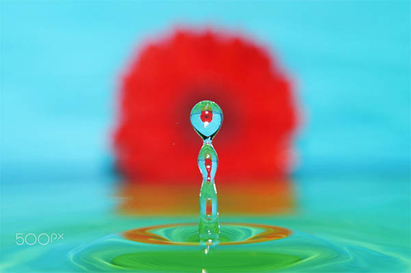 Beautiful Water Drops Photography - 18