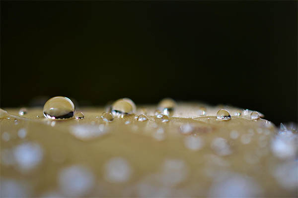 Beautiful Water Drops Photography - 23