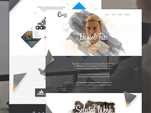Ongoing Dribbble Collection 2015 - 2016 By Daniel Fass x Czarny