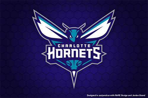 Charlotte Hornets Primary Mark by Ben Barnes