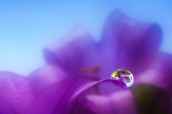 Water Drop Photography - 6