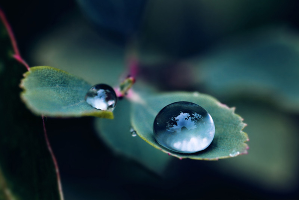 Water Drop Photography - 13