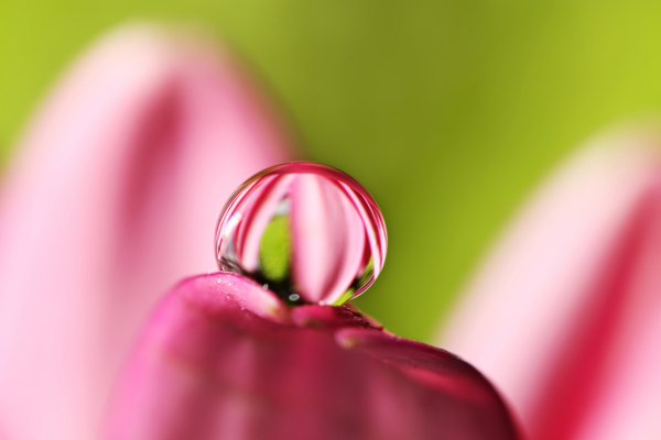 Water Drop Photography - 17