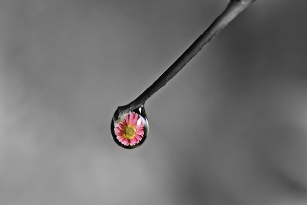Water Drop Photography - 19