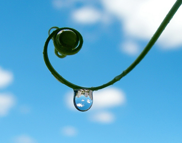 Water Drop Photography - 23