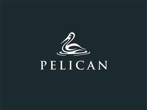 Pelican by Bodea Danie