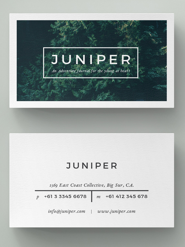 Beautiful Multipurpose Business Card Template