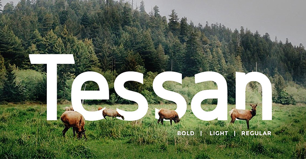 Tessan Sans - Modern Typeface