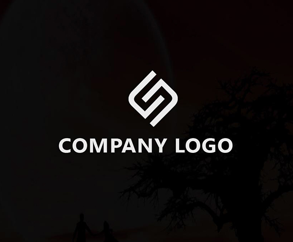 custom logo Design