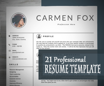 professional+resume+cv+template+thumb