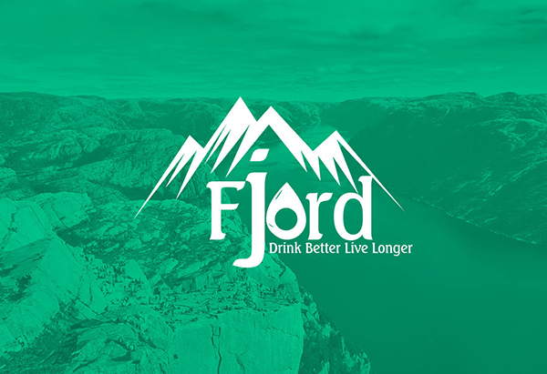 Fjord Water Logo Design