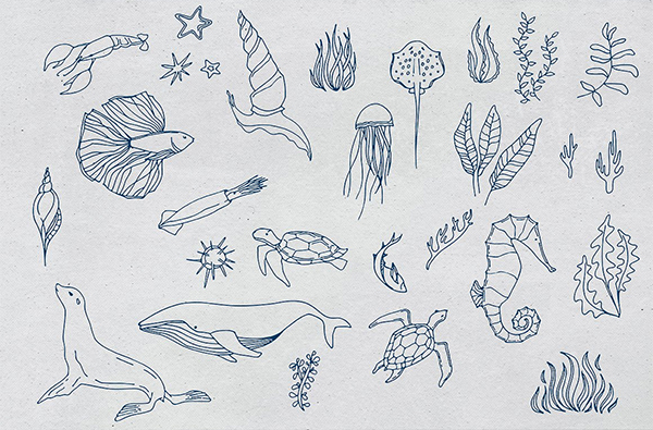 Amazing Hand Drawn Vector Sea creatures and plants