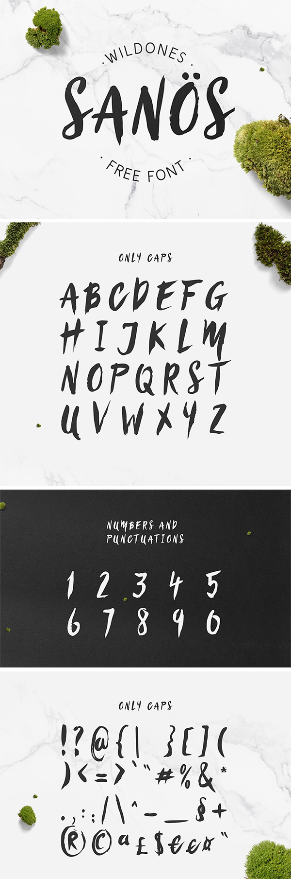 Awesome Sanös Brush or Script Font Free Download