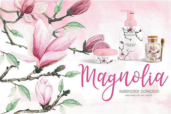 Blossom Magnolia watercolor clipart