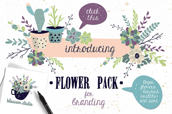 Flower Pack with succulents