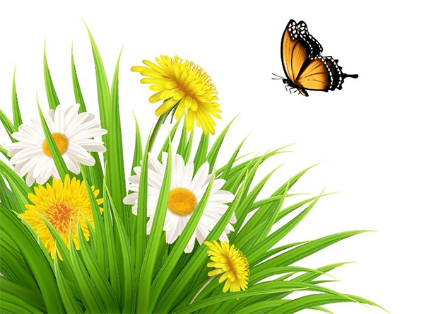 How to Draw a Nature Scene With Dandelions and a Butterfly in Adobe Illustrator