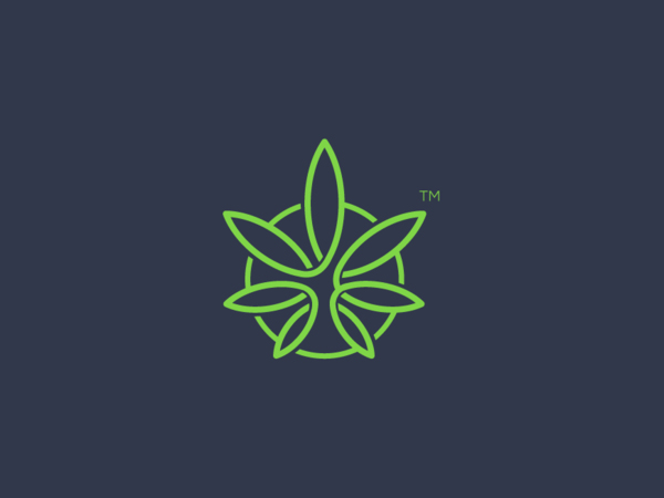 Marijuana Leaf Concept