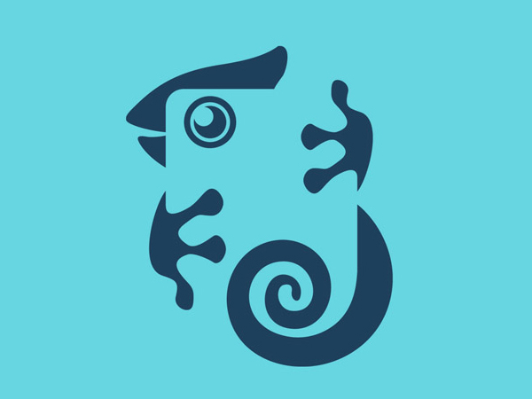Iguamera Logo Design