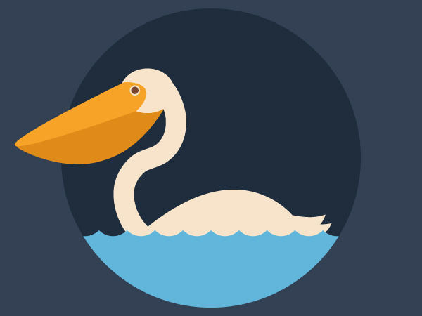 How to Create a Quick Pelican in Adobe Illustrator