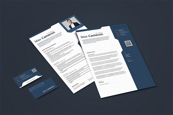 Editable CV for Sales Manager